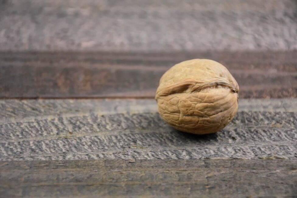 Orzechy włoskie czy można je łuszczyć ręcznie